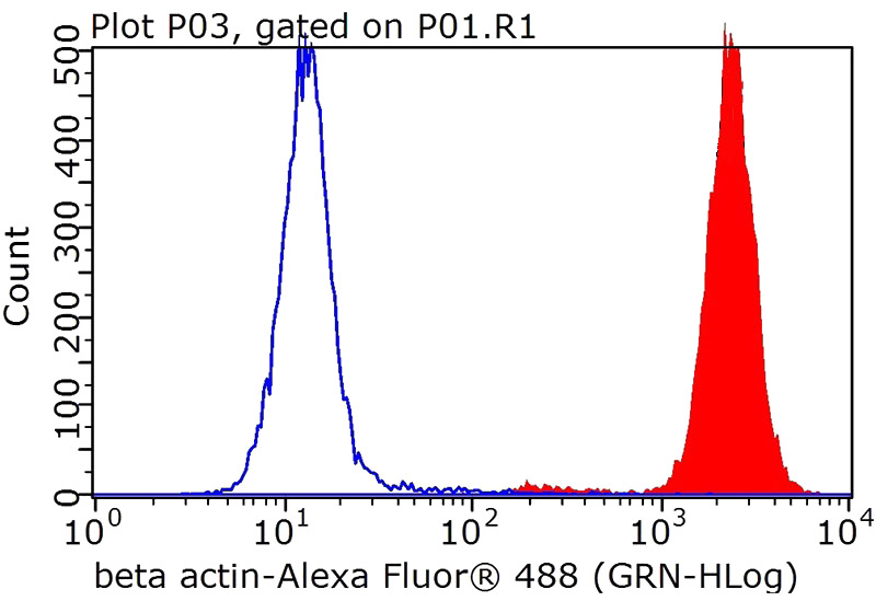 1X10^6 HeLa cells were stained with 0.2ug beta actin antibody (Catalog No:117302, red) and control antibody (blue). Fixed with 4% PFA blocked with 3% BSA (30 min). FITC-Goat anti-Mouse IgG with dilution 1:100.
