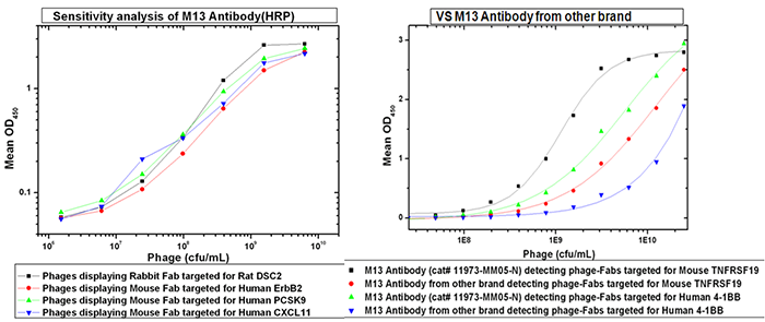 M13 Bacteriophage Antibody (HRP), Mouse Mab, ELISA