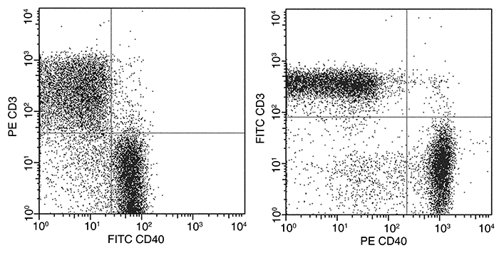 CD40 Antibody (FITC), Mouse MAb, Flow cytometric analysis