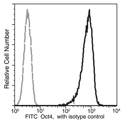 Oct4 Antibody (FITC), Mouse MAb, Flow cytometric