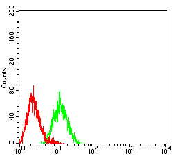 Fig5: Flow cytometric analysis of LRP3 was done on HL-60 cells. The cells were fixed, permeabilized and stained with the primary antibody ( 1/100) (green). After incubation of the primary antibody at room temperature for an hour, the cells were stained with a Alexa Fluor 488-conjugated goat anti-Mouse IgG Secondary antibody at 1/500 dilution for 30 minutes. Unlabelled sample was used as a control (cells without incubation with primary antibody; red).