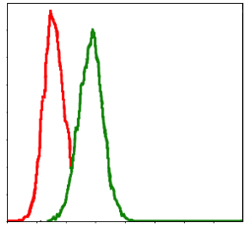 Flow cytometric analysis of Hela cells using GSTM1 mouse mAb (green) and negative control (red).