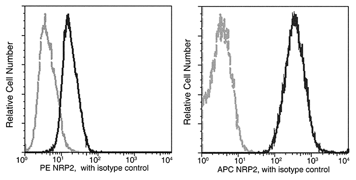 Neuropilin 2 / NRP2 Antibody (APC), Mouse MAb, Flow cytometric analysis