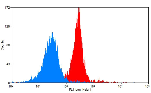 1X10^6 K-562 cells were stained with 0.2ug HBE1-Specific antibody (Catalog No:107259, red) and control antibody (blue). Fixed with blocked with 3% BSA (30 min). Alexa Fluor 488-congugated AffiniPure Goat Anti-Mouse IgG(H+L) with dilution 1:1500.