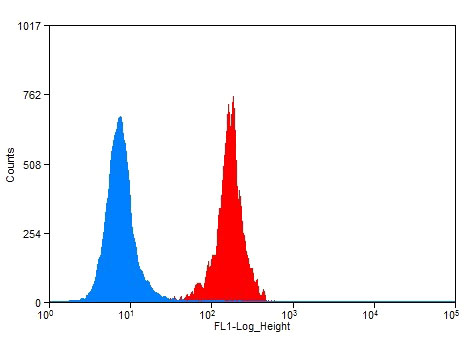 1X10^6 HeLa cells were stained with 0.2ug FOXO1 antibody (Catalog No:110703, red) and control antibody (blue). Fixed with 90% MeOH blocked with 3% BSA (30 min). Alexa Fluor 488-congugated AffiniPure Goat Anti-Rabbit IgG(H+L) with dilution 1:100.
