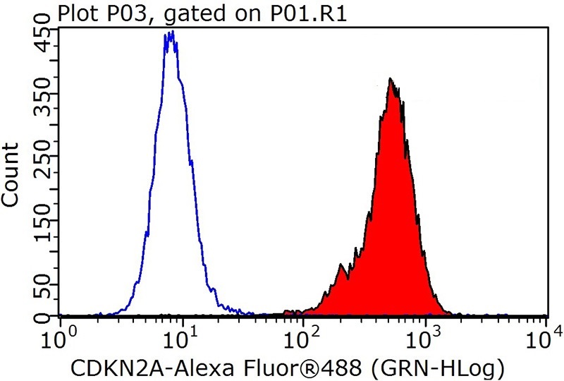 1X10^6 HeLa cells were stained with .2ug P16-INK4A antibody (Catalog No:113538, red) and control antibody (blue). Fixed with 90% MeOH blocked with 3% BSA (30 min). Alexa Fluor 488-congugated AffiniPure Goat Anti-Rabbit IgG(H+L) with dilution 1:1000.