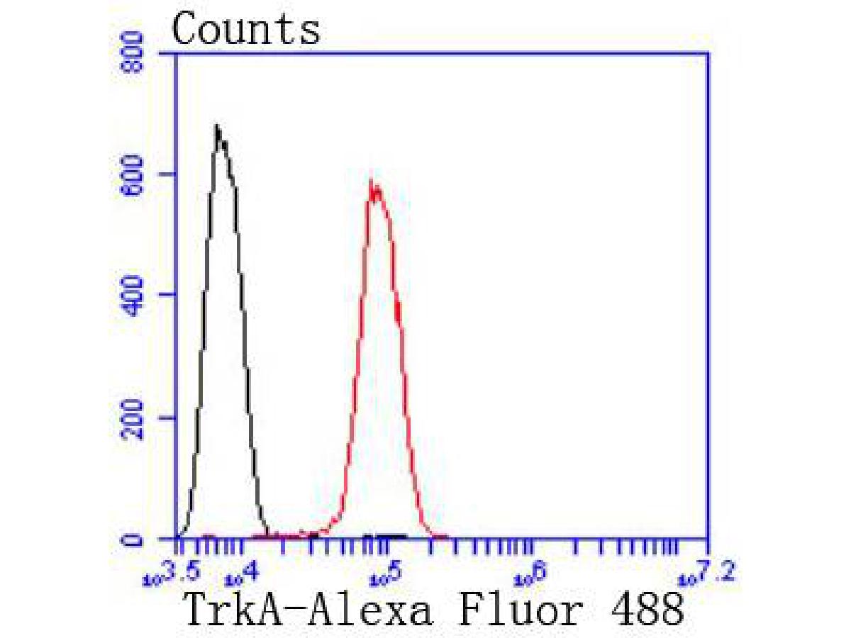 Fig10:; Flow cytometric analysis of TrkA was done on SH-SY5Y cells. The cells were fixed, permeabilized and stained with the primary antibody ( 1/50) (red). After incubation of the primary antibody at room temperature for an hour, the cells were stained with a Alexa Fluor 488-conjugated Goat anti-Rabbit IgG Secondary antibody at 1/1000 dilution for 30 minutes.Unlabelled sample was used as a control (cells without incubation with primary antibody; black).