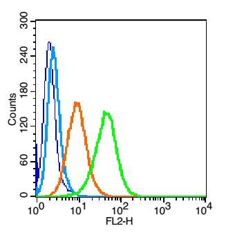 Fig2: Blank control(blue): U937(fixed with 2% paraformaldehyde (10 min)).; Primary Antibody:Rabbit Anti-CD101 antibody , Dilution: 1μg in 100 μL 1X PBS containing 0.5% BSA;; Isotype Control Antibody: Rabbit IgG(orange) ,used under the same conditions );; Secondary Antibody: Goat anti-rabbit IgG-PE(white blue), Dilution: 1:200 in 1 X PBS containing 0.5% BSA.