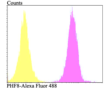 Fig9: Flow cytometric analysis of SiHa cells with PHF8 antibody at 1/100 dilution (fuchsia) compared with an unlabelled control (cells without incubation with primary antibody; yellow). Alexa Fluor 488-conjugated goat anti-rabbit IgG was used as the secon