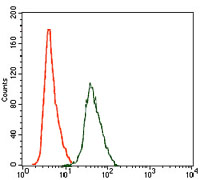 Flow cytometric analysis of HeLa cells using ARHGDIA mouse mAb (green) and negative control (red).