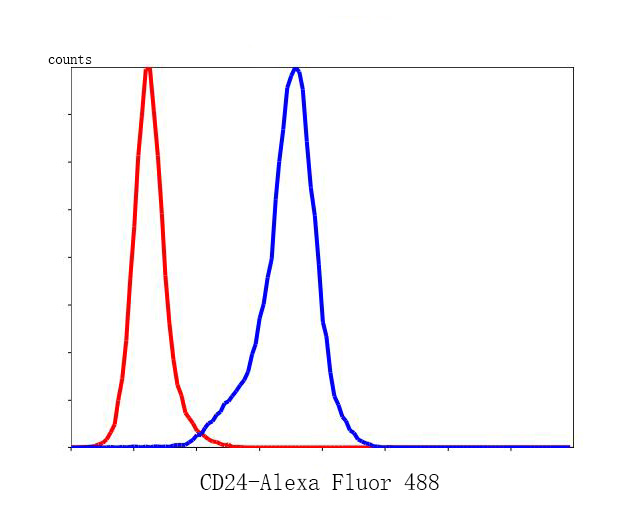 Fig4:; Flow cytometric analysis of CD24 was done on N2A cells. The cells were fixed, permeabilized and stained with the primary antibody ( 1/50) (blue). After incubation of the primary antibody at room temperature for an hour, the cells were stained with a Alexa Fluor 488-conjugated Goat anti-Rabbit IgG Secondary antibody at 1/1000 dilution for 30 minutes.Unlabelled sample was used as a control (cells without incubation with primary antibody; red).