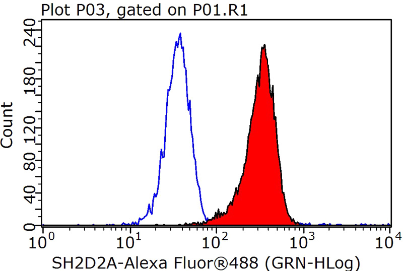 1X10^6 K-562 cells were stained with 0.2ug SH2D2A antibody (Catalog No:115180, red) and control antibody (blue). Fixed with 90% MeOH blocked with 3% BSA (30 min). Alexa Fluor 488-congugated AffiniPure Goat Anti-Rabbit IgG(H+L) with dilution 1:1000.