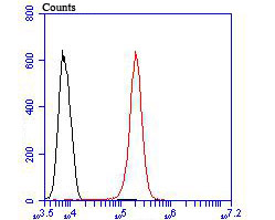 Fig2:; Flow cytometric analysis of DLL4 was done on 293T cells. The cells were fixed, permeabilized and stained with the primary antibody ( 1/100) (red). After incubation of the primary antibody at room temperature for an hour, the cells were stained with a Alexa Fluor 488-conjugated goat anti-rabbit IgG Secondary antibody at 1/500 dilution for 30 minutes.Unlabelled sample was used as a control (cells without incubation with primary antibody; black).