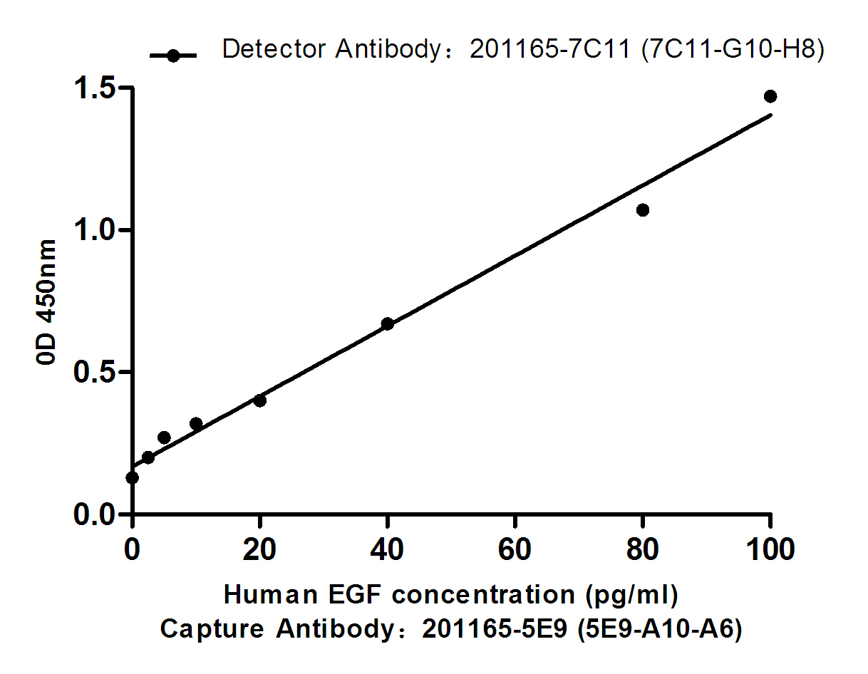 Standard Curve for Human EGF: Capture Antibody Mouse mAb 201165-5E9 (5E9-A10-A6) to Human EGF at 4u03bcg/ml and Detector Antibody Mouse mAb 168076(7C11-G10-H8) to Human EGF at 1u03bcg/ml.