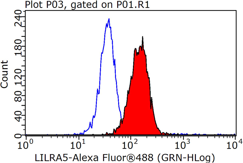 1X10^6 K-562 cells were stained with 0.2ug LILRA5 antibody (Catalog No:112225, red) and control antibody (blue). Fixed with 90% MeOH blocked with 3% BSA (30 min). Alexa Fluor 488-congugated AffiniPure Goat Anti-Rabbit IgG(H+L) with dilution 1:1000.