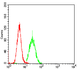 Fig4: Flow cytometric analysis of Hela cells with PKHD1 antibody at 1/100 dilution (green) compared with an unlabelled control (cells without incubation with primary antibody; red).