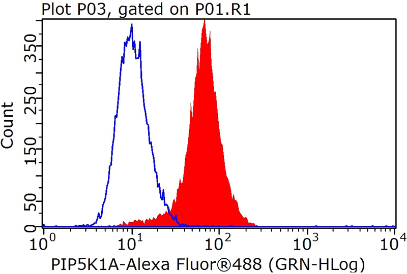 1X10^6 HeLa cells were stained with .5ug PIP5K1A antibody (Catalog No:113914, red) and control antibody (blue). Fixed with 4% PFA blocked with 3% BSA (30 min). FITC-Goat anti-Rabbit IgG with dilution 1:100.