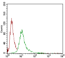 Fig6: Flow cytometric analysis of A431 cells with SERPINA7 antibody at 1/100 dilution (green) compared with an unlabelled control (cells without incubation with primary antibody; red).