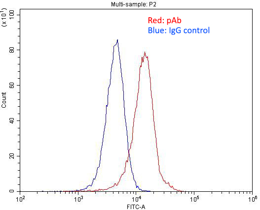 1X10^6 HeLa cells were stained with .2ug P2RY13 antibody (Catalog No:113546, red) and control antibody (blue). Fixed with 4% PFA blocked with 3% BSA (30 min). Alexa Fluor 488-congugated AffiniPure Goat Anti-Rabbit IgG(H+L) with dilution 1:1500.