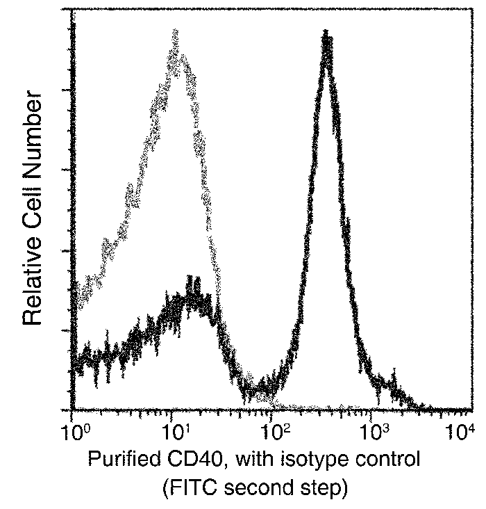 CD40 / TNFRSF5 Antibody, Mouse MAb, Flow Cytometry