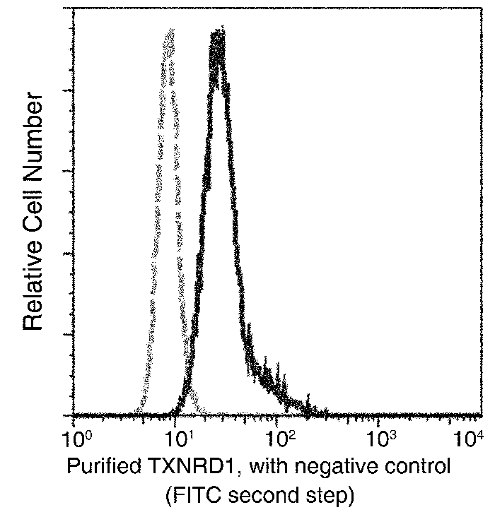 TXNRD1 Antibody, Mouse MAb