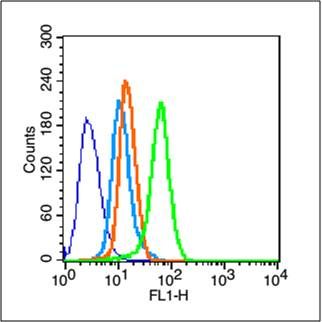 Fig1: Blank control (blue line): Hela (fixed with 70% methanol (Overnight at -20℃) and then permeabilized with ice-cold 90% methanol for 30 min on ice).; Primary Antibody (green line): Rabbit Anti-MDR1 antibody ,Dilution: 1μg /10^6 cells;; Isotype Control Antibody (orange line): Rabbit IgG .; Secondary Antibody (white blue line): Goat anti-rabbit IgG-FITC,Dilution: 1μg /test.