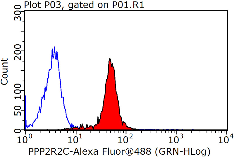 1X10^6 MCF-7 cells were stained with 0.2ug PPP2R2C antibody (Catalog No:114101, red) and control antibody (blue). Fixed with 90% MeOH blocked with 3% BSA (30 min). Alexa Fluor 488-congugated AffiniPure Goat Anti-Rabbit IgG(H+L) with dilution 1:1500.