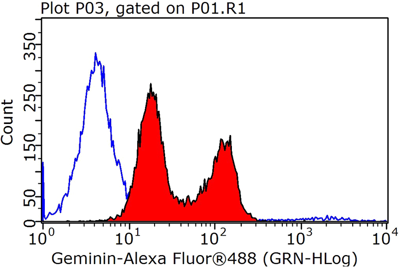 1X10^6 MCF-7 cells were stained with 0.2ug GMNN antibody (Catalog No:110942, red) and control antibody (blue). Fixed with 90% MeOH blocked with 3% BSA (30 min). Alexa Fluor 488-congugated AffiniPure Goat Anti-Rabbit IgG(H+L) with dilution 1:1000.