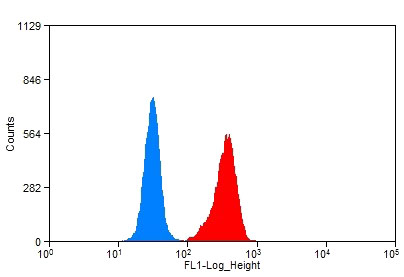1X10^6 HeLa cells were stained with 0.2ug TICAM2 antibody (Catalog No:116120, red) and control antibody (blue). Fixed with 90% MeOH blocked with 3% BSA (30 min). Alexa Fluor 488-congugated AffiniPure Goat Anti-Rabbit IgG(H+L) with dilution 1:1500.