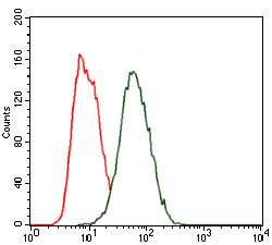 Flow cytometric analysis of HeLa cells using HEXA mouse mAb (green) and negative control (red).