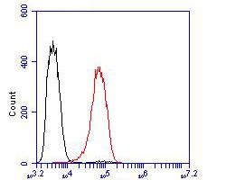 Fig7:; Flow cytometric analysis of SLC8B1 was done on Siha cells. The cells were fixed, permeabilized and stained with the primary antibody ( 1/100) (red). After incubation of the primary antibody at room temperature for an hour, the cells were stained with a Alexa Fluor 488-conjugated goat anti-rabbit IgG Secondary antibody at 1/500 dilution for 30 minutes.Unlabelled sample was used as a control (cells without incubation with primary antibody; black).
