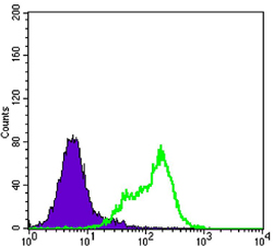 Fig5: Flow cytometric analysis of Hela cells with THAP11 antibody at 1/100 dilution (green) compared with an unlabelled control (cells without incubation with primary antibody; purple).