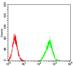 Fig7: Flow cytometric analysis of Hela cells with ZFP91 antibody at 1/100 dilution (green) compared with an unlabelled control (cells without incubation with primary antibody; red).