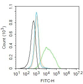 Fig2: Blank control: HL60.; Primary Antibody (green line): Rabbit Anti-P2Y8 antibody ; Dilution: 2μg /10^6 cells;; Isotype Control Antibody (orange line): Rabbit IgG .; Secondary Antibody (blue line): Goat anti-rabbit IgG-AF488; Dilution: 1μg /test.; Protocol; The cells were incubated in 5%BSA to block non-specific protein-protein interactions for 30 min at at room temperature .Cells stained with Primary Antibody for 30 min at room temperature.The secondary antibody used for 40 min at room temperature. Acquisition of 20,000 events was performed.