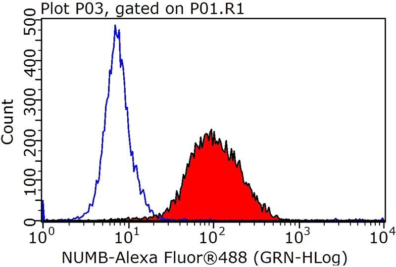 1X10^6 HepG2 cells were stained with 0.2ug NUMB antibody (Catalog No:113371, red) and control antibody (blue). Fixed with 90% MeOH blocked with 3% BSA (30 min). Alexa Fluor 488-congugated AffiniPure Goat Anti-Rabbit IgG(H+L) with dilution 1:1000.