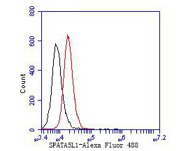 Fig8: Flow cytometric analysis of SPATIAL was done on JAR cells. The cells were fixed, permeabilized and stained with the primary antibody ( 1/50) (red). After incubation of the primary antibody at room temperature for an hour, the cells were st