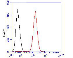 Fig2:; Flow cytometric analysis of USP29 was done on 293 cells. The cells were fixed, permeabilized and stained with the primary antibody ( 1/100) (red). After incubation of the primary antibody at room temperature for an hour, the cells were stained with a Alexa Fluor 488-conjugated goat anti-rabbit IgG Secondary antibody at 1/500 dilution for 30 minutes.Unlabelled sample was used as a control (cells without incubation with primary antibody; black).