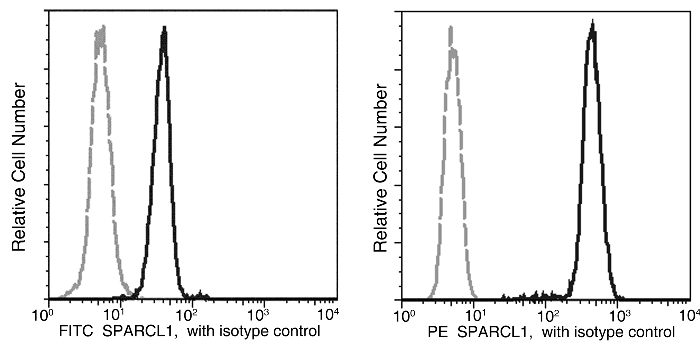 SPARCL1 Antibody (FITC), Mouse MAb, Flow cytometric