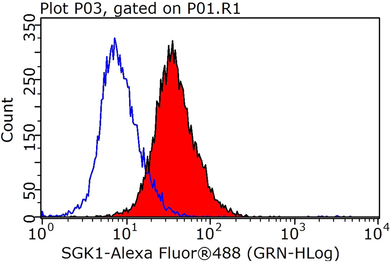 1X10^6 HeLa cells were stained with 0.2ug SGK1 antibody (Catalog No:115166, red) and control antibody (blue). Fixed with 90% MeOH blocked with 3% BSA (30 min). Alexa Fluor 488-congugated AffiniPure Goat Anti-Rabbit IgG(H+L) with dilution 1:1000.