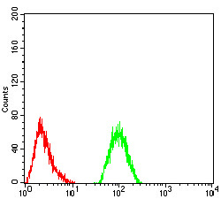 Fig5: Flow cytometric analysis of Hela cells with IL1RAPL1 antibody at 1/100 dilution (green) compared with an unlabelled control (cells without incubation with primary antibody; red).