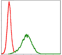 Flow cytometric analysis of HepG2 cells using NQO1 mouse mAb (green) and negative control (red).
