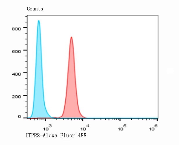 Fig9: Flow cytometric analysis of HepG2 cells with ITPR2 antibody at 1/100 dilution (red) compared with an unlabelled control (cells without incubation with primary antibody; blue). Alexa Fluor 488-conjugated goat anti-rabbit IgG was used as the secondary