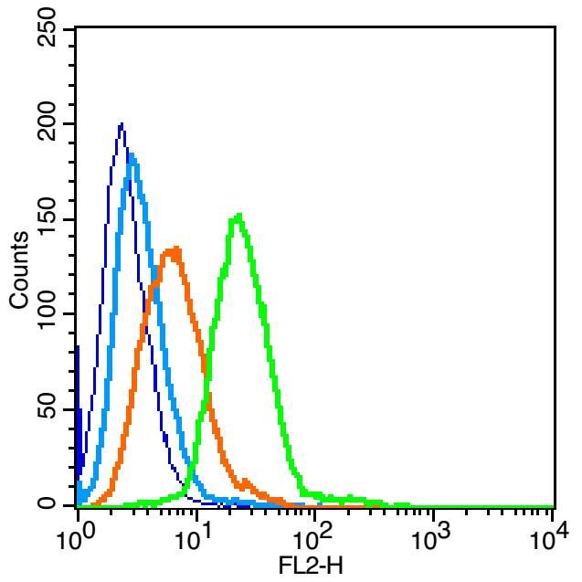 Fig1: Blank control(blue):Raji (fixed with 2% paraformaldehyde (10 min)).; Primary Antibody:Rabbit Anti-IGSF8 antibody , Dilution: 1μg in 100 μL 1X PBS containing 0.5% BSA;; Isotype Control Antibody: Rabbit IgG(orange), used under the same conditions );; Secondary Antibody: Goat anti-rabbit IgG-PE(white blue), Dilution: 1:200 in 1 X PBS containing 0.5% BSA.