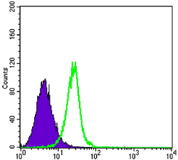 Flow cytometric analysis of K562 cells using SMAD4 mouse mAb (green) and negative control (purple).