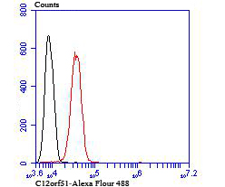 Fig7: Flow cytometric analysis of SH-SY5Y cells with C12orf51 antibody at 1/100 dilution (red) compared with an unlabelled control (cells without incubation with primary antibody; black).