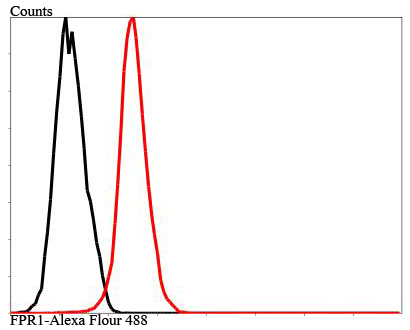 Fig7: Flow cytometric analysis of MCF-7 cells with FPR1 antibody at 1/100 dilution (red) compared with an unlabelled control (cells without incubation with primary antibody; black).