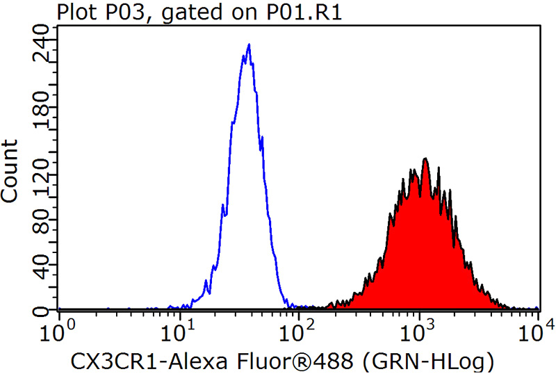 1X10^6 K-562 cells were stained with 0.2ug CX3CR1 antibody (Catalog No:109634, red) and control antibody (blue). Fixed with 90% MeOH blocked with 3% BSA (30 min). Alexa Fluor 488-congugated AffiniPure Goat Anti-Rabbit IgG(H+L) with dilution 1:1000.