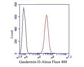 Fig8: Flow cytometric analysis of Gasdermin D was done on SiHa cells. The cells were fixed, permeabilized and stained with the primary antibody ( 1/50) (red). After incubation of the primary antibody at room temperature for an hour, the cells we