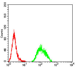 Fig6: Flow cytometric analysis of APC2 was done on Hela cells. The cells were fixed, permeabilized and stained with the primary antibody ( 1/100) (green). After incubation of the primary antibody at room temperature for an hour, the cells were stained with a Alexa Fluor 488-conjugated goat anti-Mouse IgG Secondary antibody at 1/500 dilution for 30 minutes. Unlabelled sample was used as a control (cells without incubation with primary antibody; red).