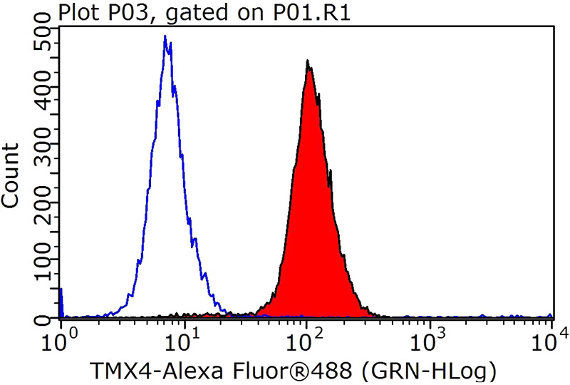 1X10^6 HepG2 cells were stained with .2ug TMX4 antibody (Catalog No:116284, red) and control antibody (blue). Fixed with 90% MeOH blocked with 3% BSA (30 min). Alexa Fluor 488-congugated AffiniPure Goat Anti-Rabbit IgG(H+L) with dilution 1:1000.